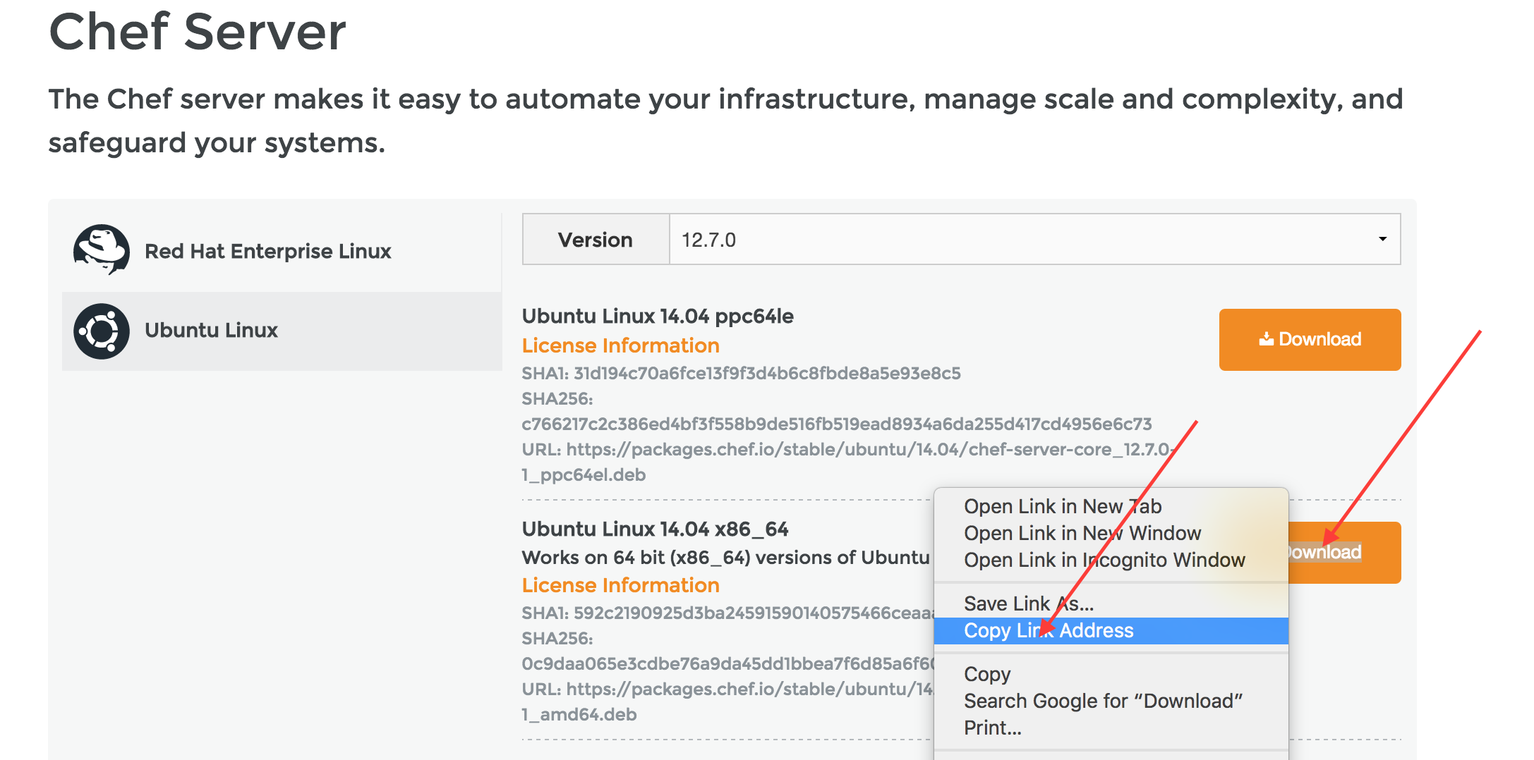 Downloading Chef Server Package for Ubuntu 14.04 64 bit