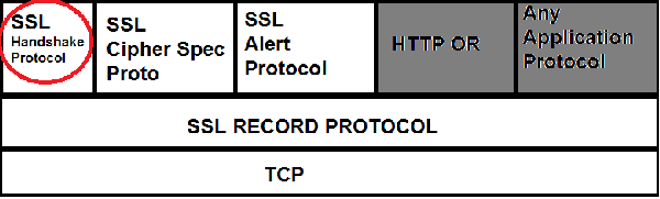 SSL handshake protocol