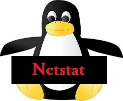 linux netstat command