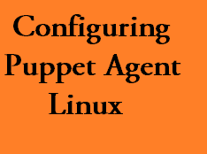 puppet agent in linux