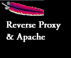 reverse proxy and apache server