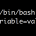 Bash Shell Variables