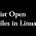 list open files in linux