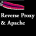 reverse proxy and apache server