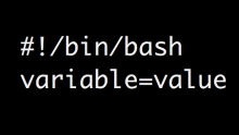 Bash Shell Variables