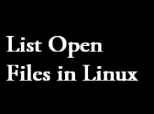 list open files in linux