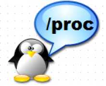 /proc file system in linux
