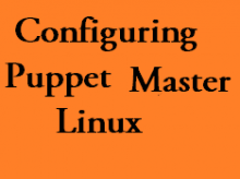 puppet master in linux